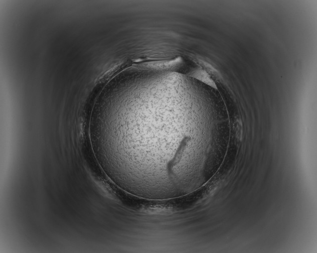 X0000087420546200705041310