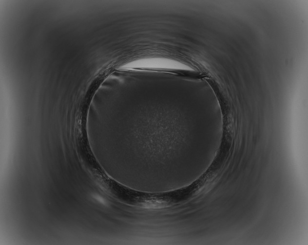 X0000087420547200705041310