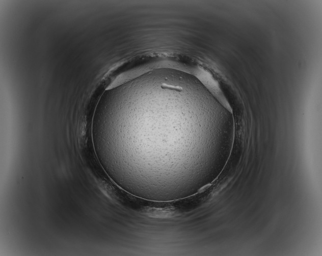 X0000087420548200705041310