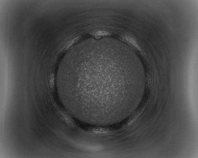 X0000087420549200705041310