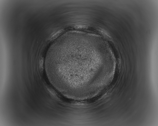 X0000087420550200705041310
