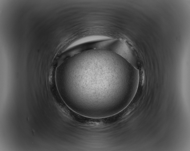 X0000087420552200705041310