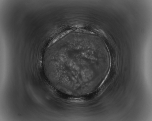 X0000087420553200705041310
