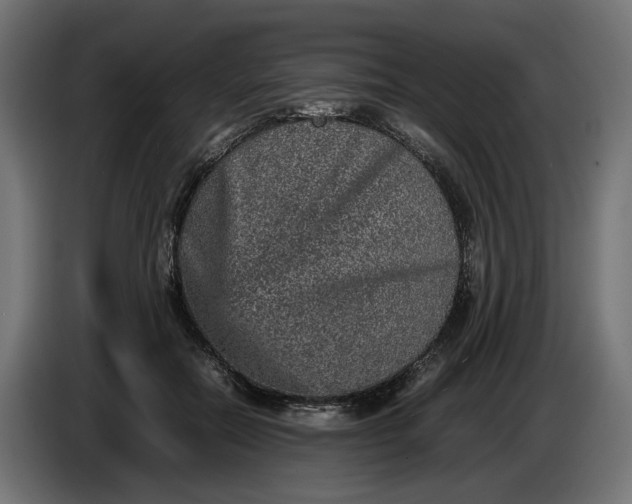 X0000087420554200705041310