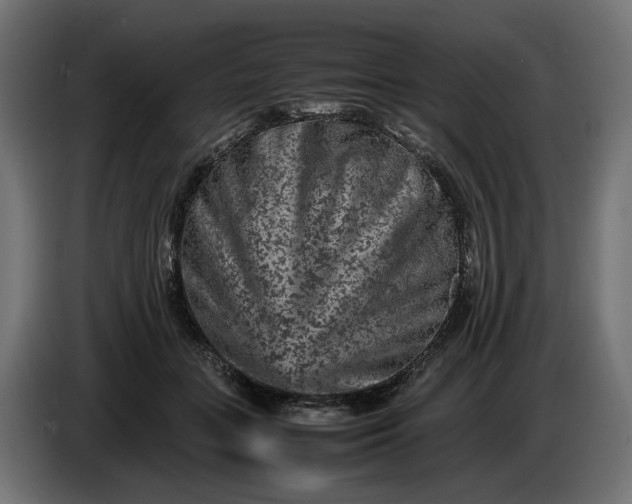 X0000087420555200705041310