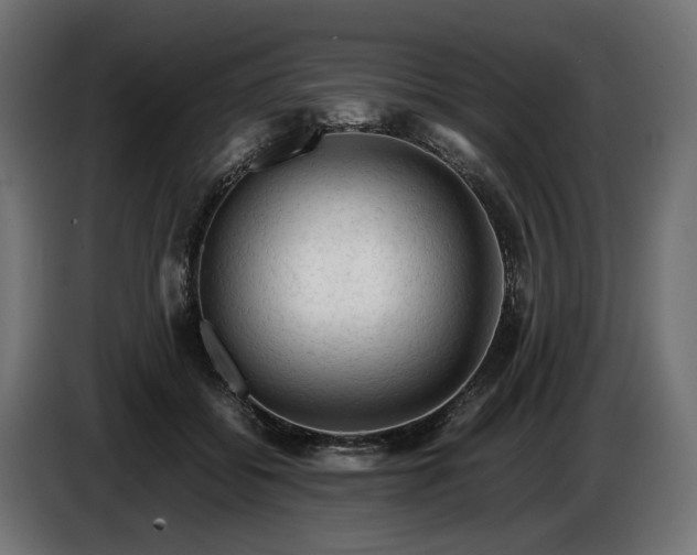 X0000087420556200705041310