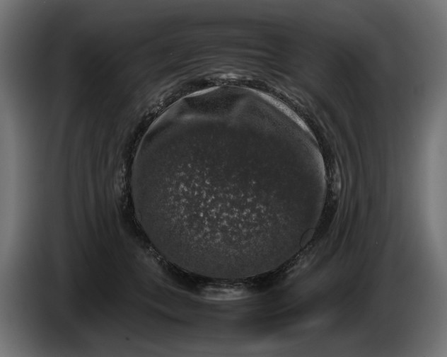 X0000087420559200705041310