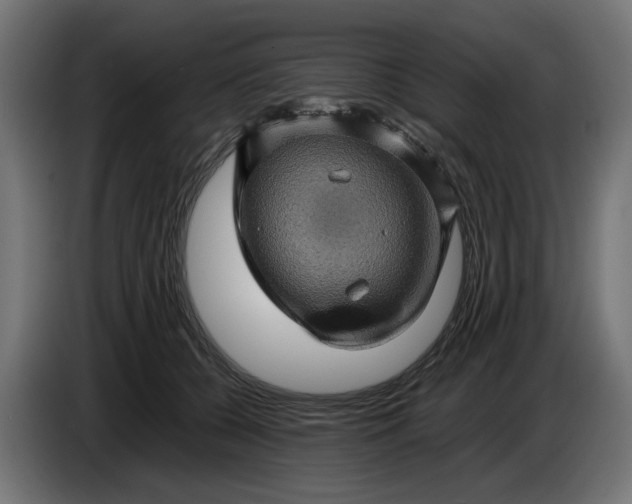 X0000087420560200705041310