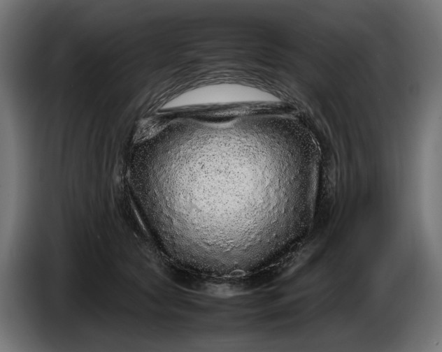 X0000087420561200705041310