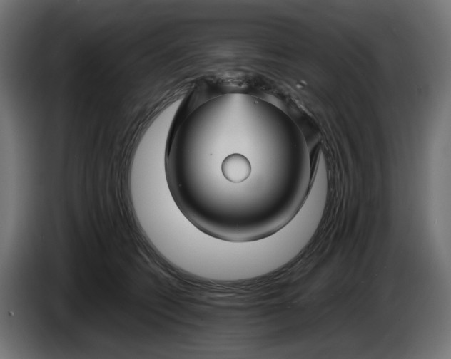 X0000087420562200705041310