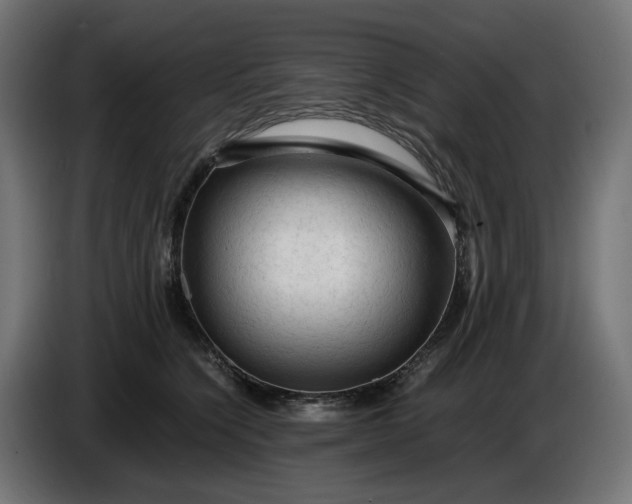 X0000087420564200705041310