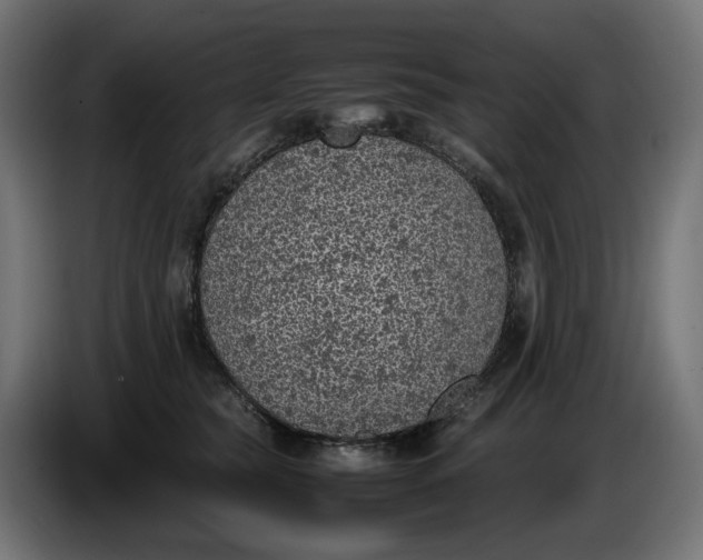 X0000087420565200705041310