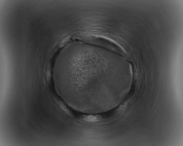 X0000087420566200705041310