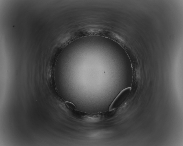 X0000087420567200705041310