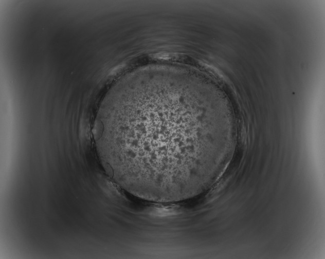 X0000087420569200705041310