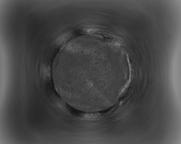 X0000087420571200705041310