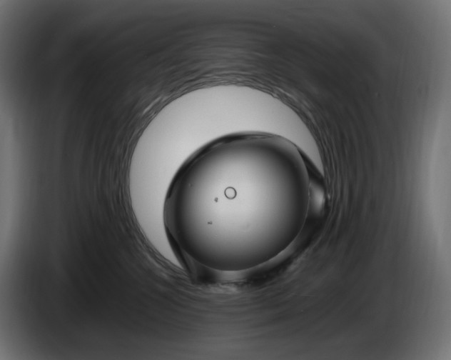 X0000087420572200705041310
