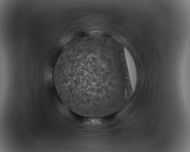 X0000087420573200705041310