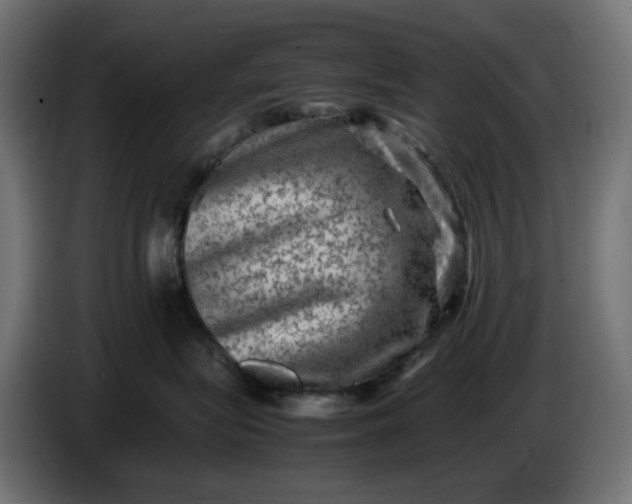 X0000087420575200705041310