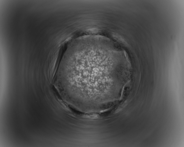 X0000087420576200705041310