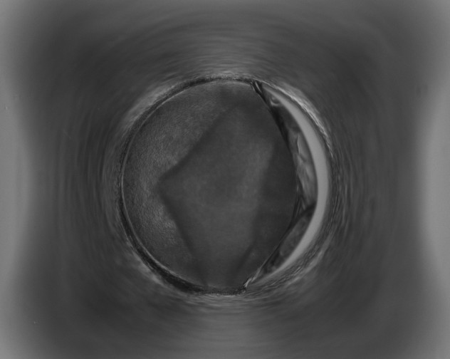 X0000087420577200705041309
