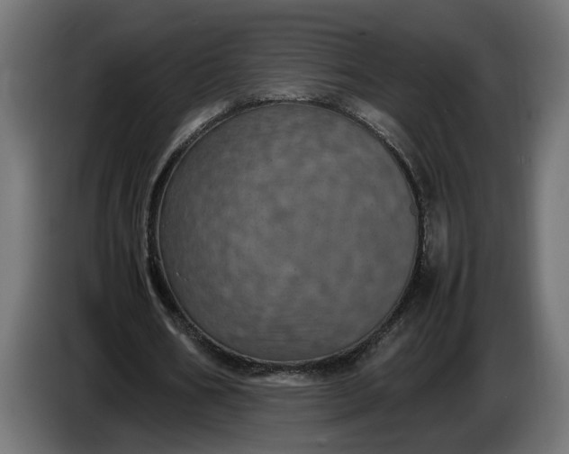 X0000087420578200705041309
