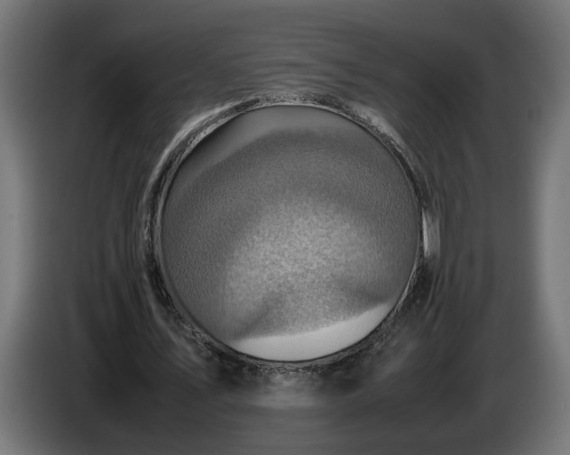 X0000087420579200705041309