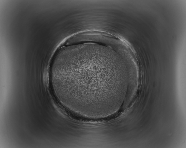 X0000087420580200705041309