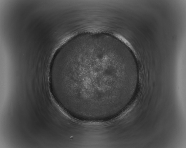 X0000087420581200705041309