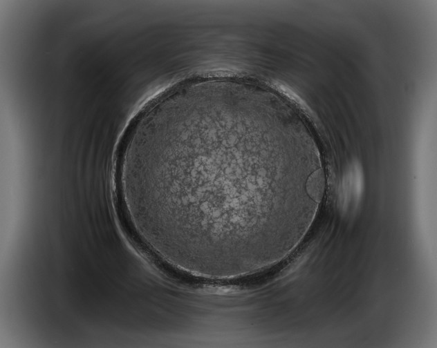 X0000087420582200705041309