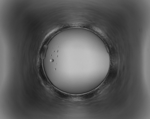 X0000087420583200705041309