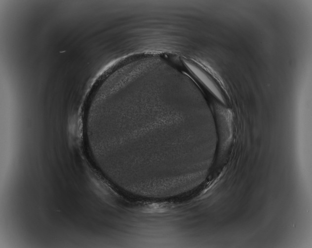 X0000087420584200705041309