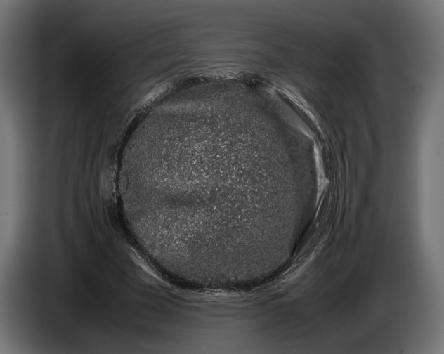 X0000087420585200705041309