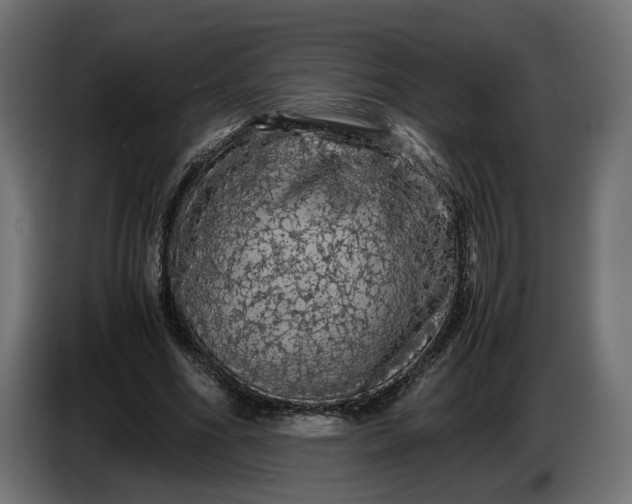 X0000087420586200705041309