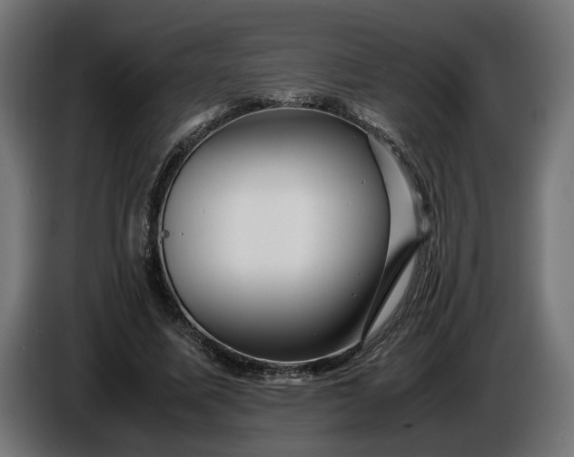 X0000087420587200705041309