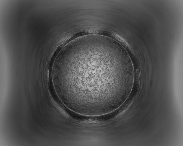 X0000087420589200705041309