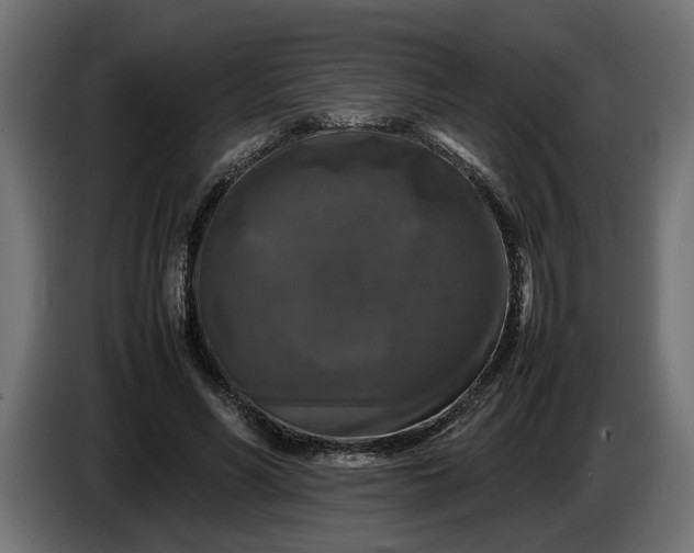 X0000087420590200705041309