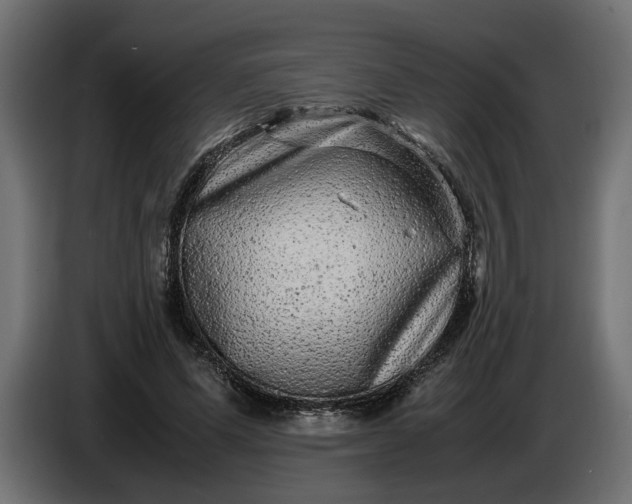 X0000087420591200705041309
