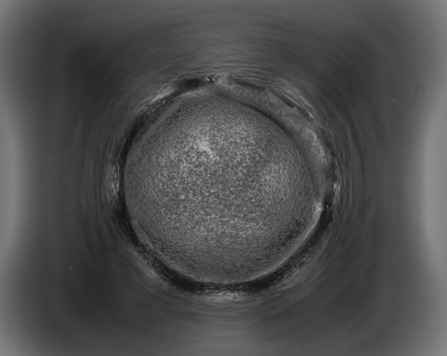 X0000087420593200705041309