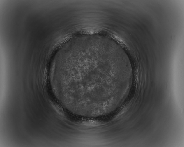 X0000087420594200705041309