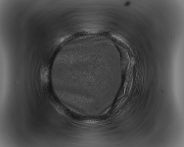 X0000087420596200705041309