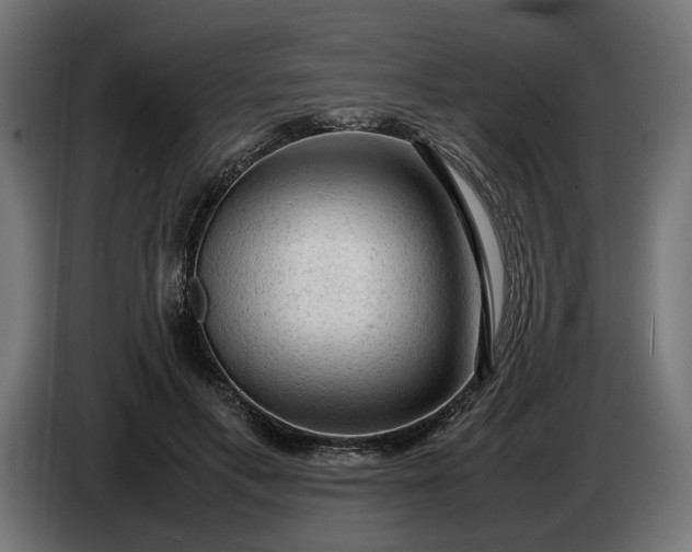 X0000087420597200705041309