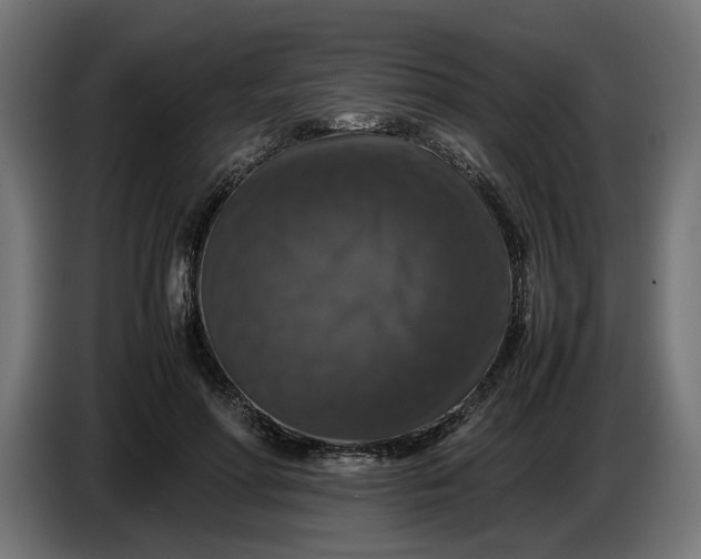 X0000087420598200705041309