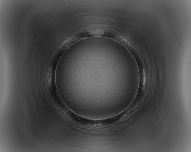 X0000087420600200705041309