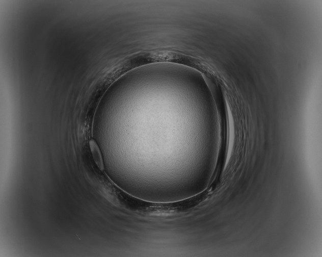 X0000087420601200705041309