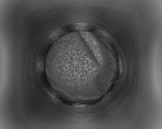 X0000087420602200705041309