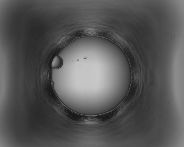 X0000087420603200705041309