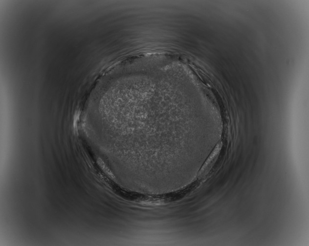 X0000087420604200705041309