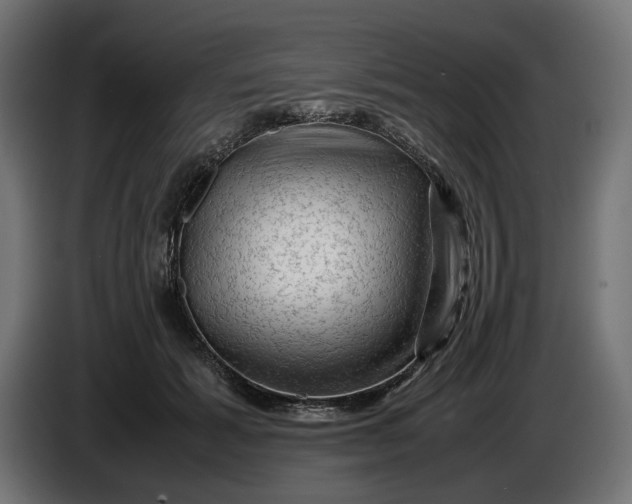 X0000087420605200705041309