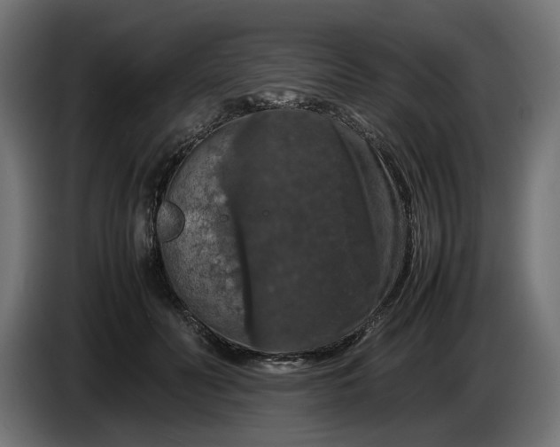 X0000087420606200705041309